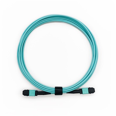 Trunk Cable