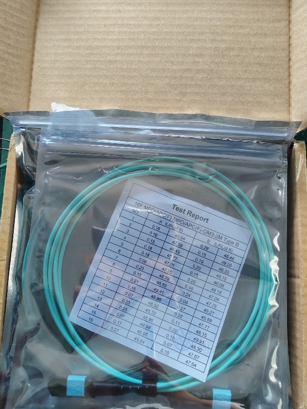 16F MPO-MPO (2)(1).jpg