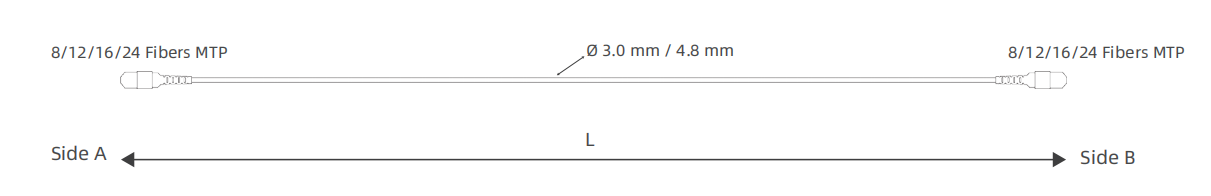 3041758093467222.png image.png