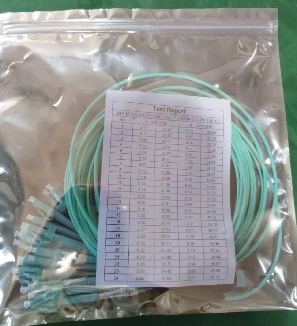 24F MTP-LC(1)(1).jpg