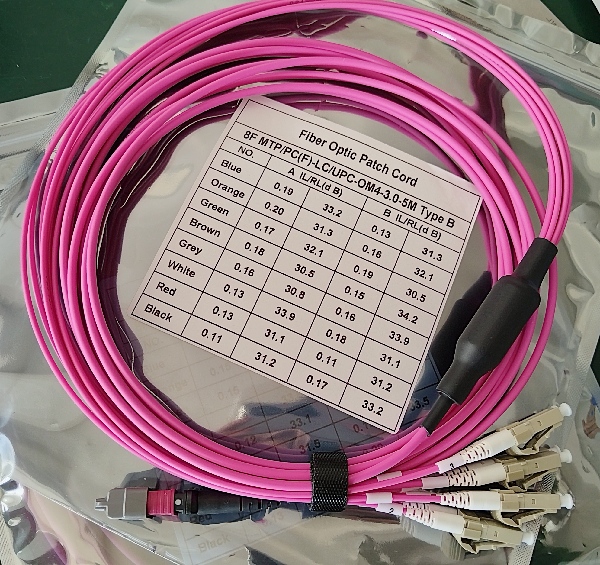 8F MTP-LC(1).jpg